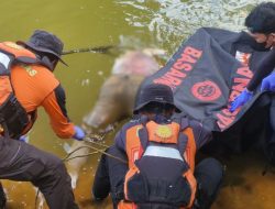Geger Penemuan Jasad Pria Tanpa Kepala dan Lengan di Sungai Oheo, Konawe Utara