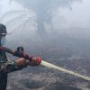 Kebakaran 80 Hektare Hutan di Koltim, Polisi Tetapkan Satu Tersangka
