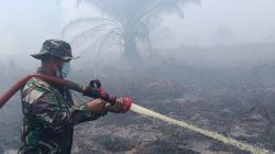 Kebakaran 80 Hektare Hutan di Koltim, Polisi Tetapkan Satu Tersangka