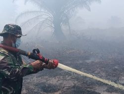 Kebakaran 80 Hektare Hutan di Koltim, Polisi Tetapkan Satu Tersangka